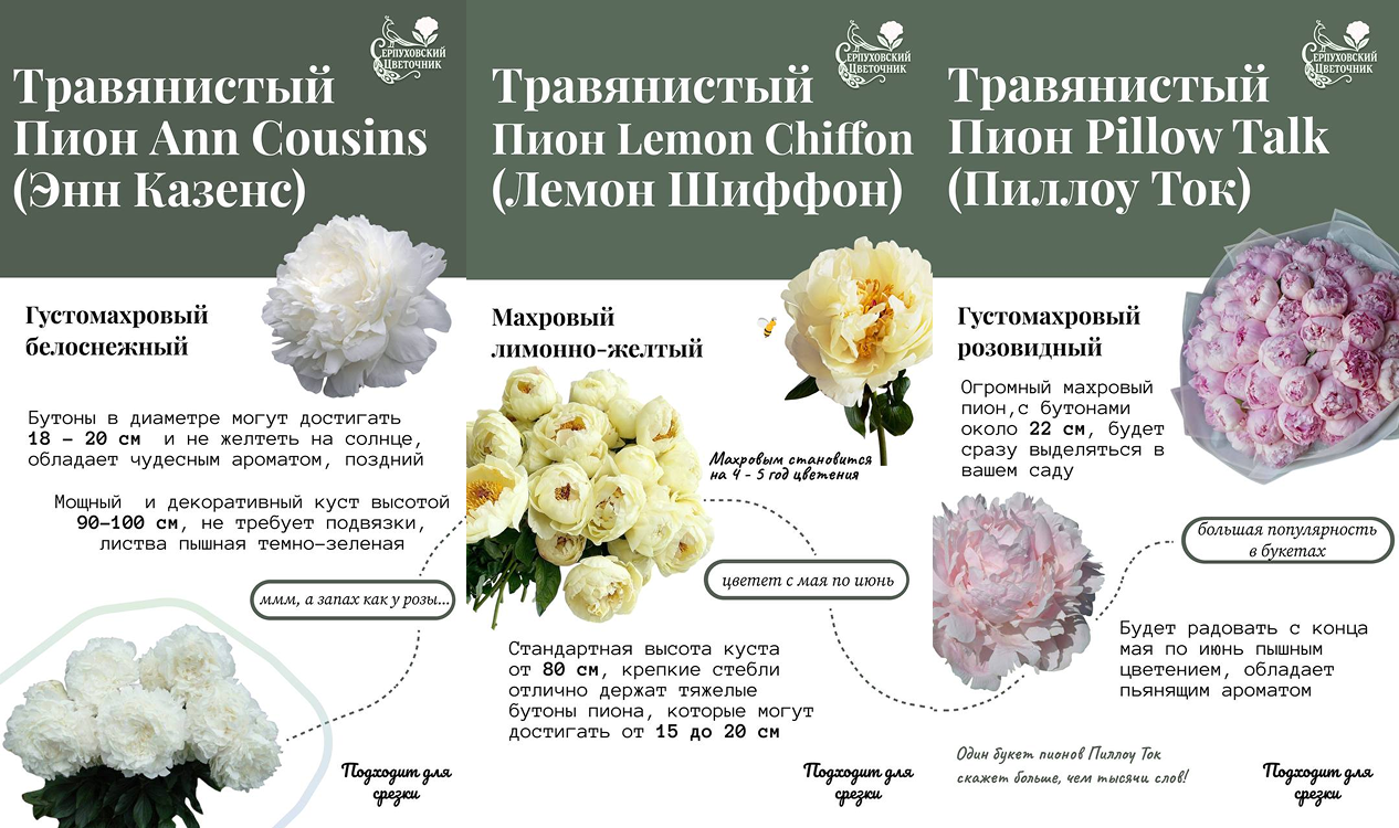 Принимаем заказы на рассаду эустомы и корни пионов на 2026 год!